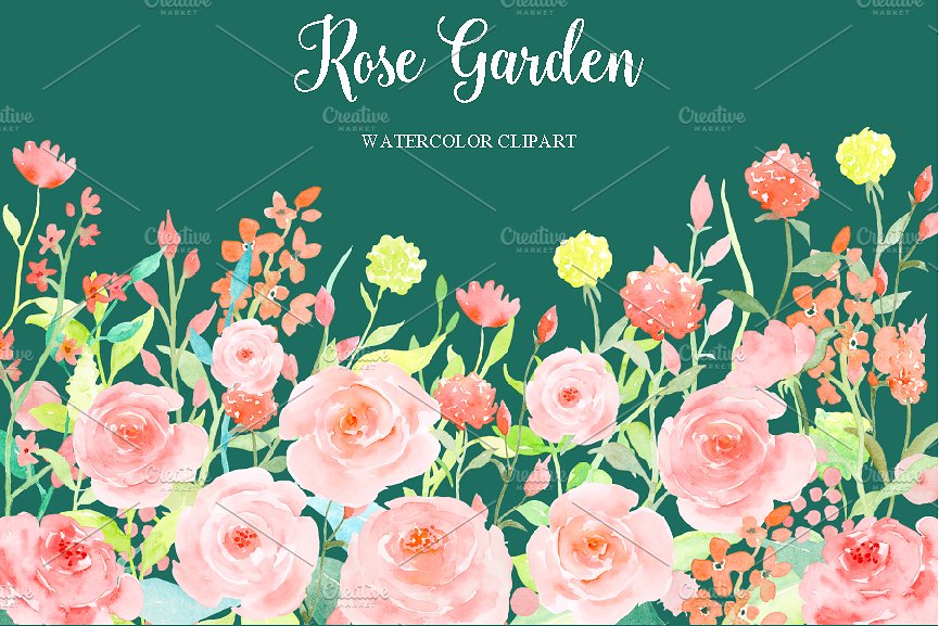 Watercolor Pink Rose Garden