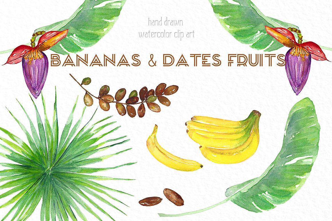 Banana -amp; dates tropical wa