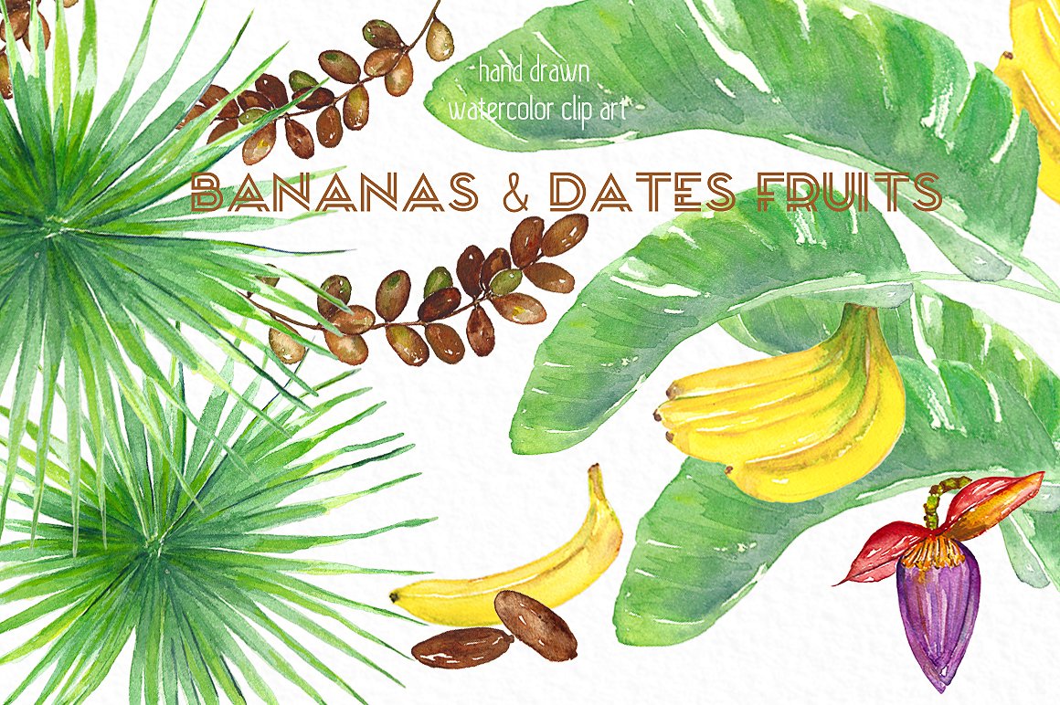 Banana -amp; dates tropical wa