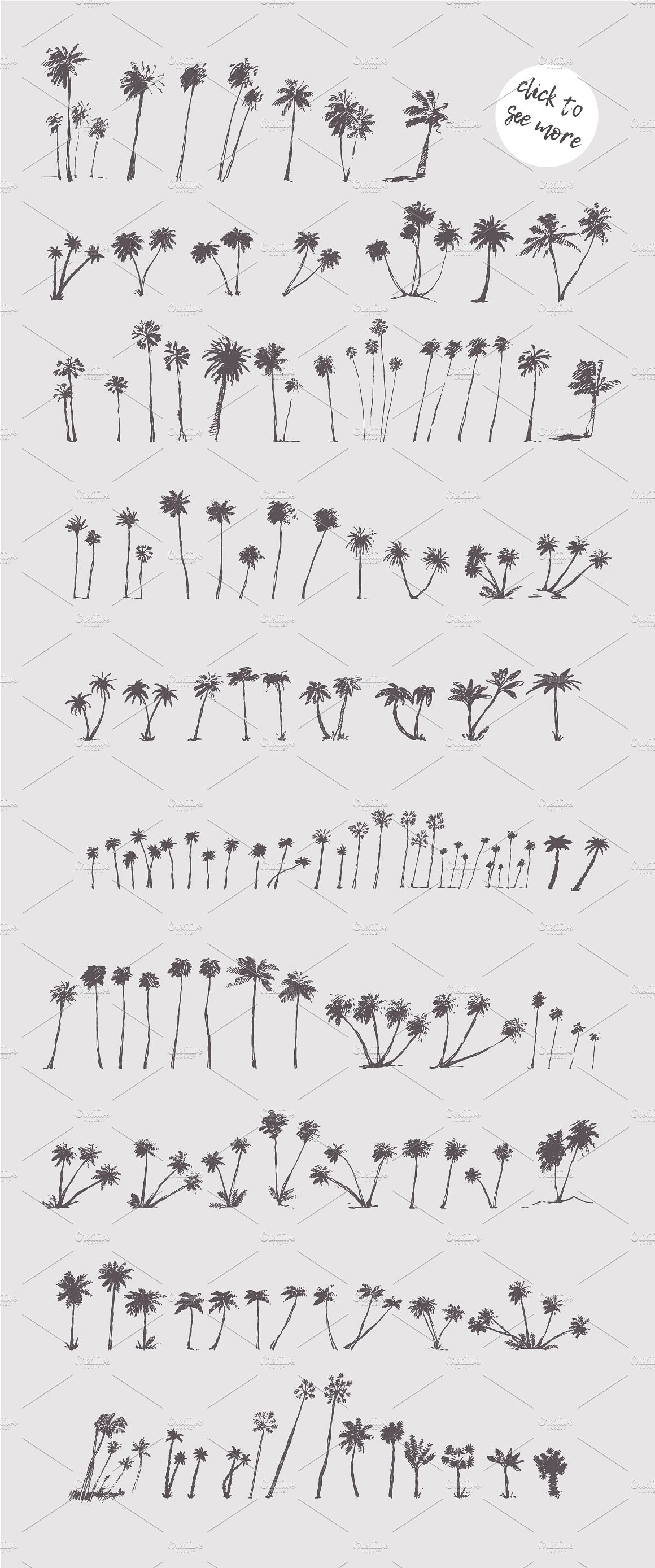 Silhouettes of palm trees