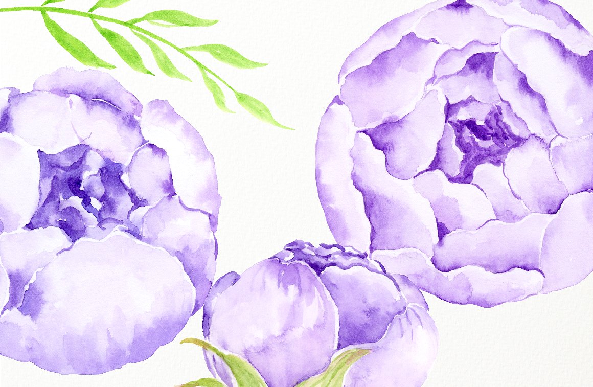 Watercolor Lilac Peony Bouquet