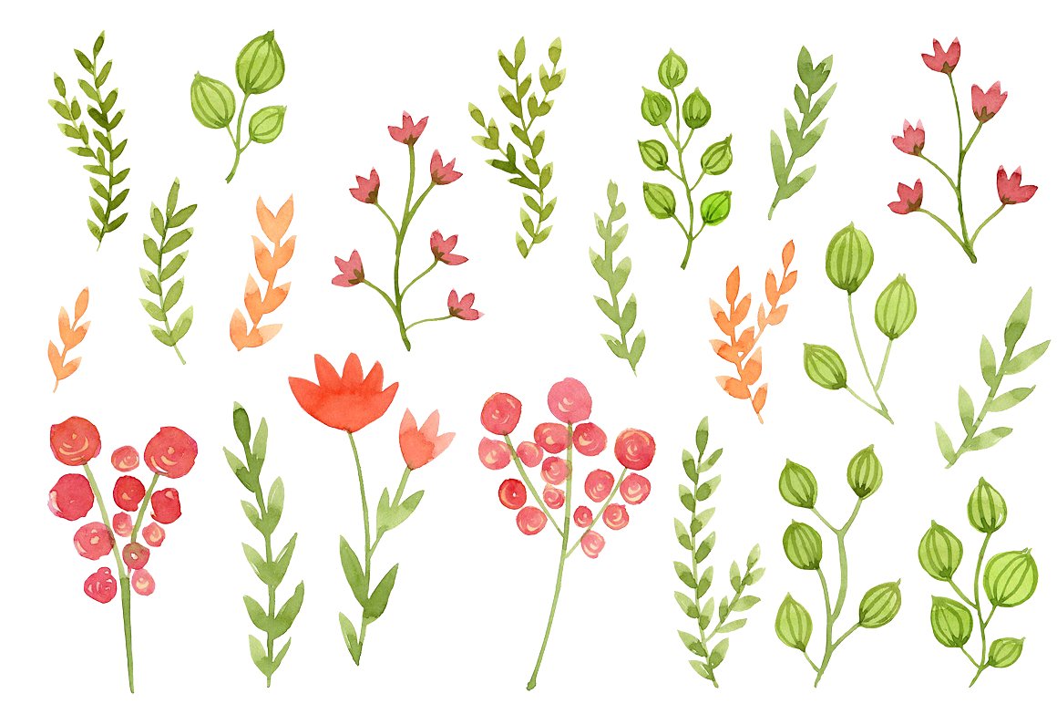 Watercolor Flowers, Floral