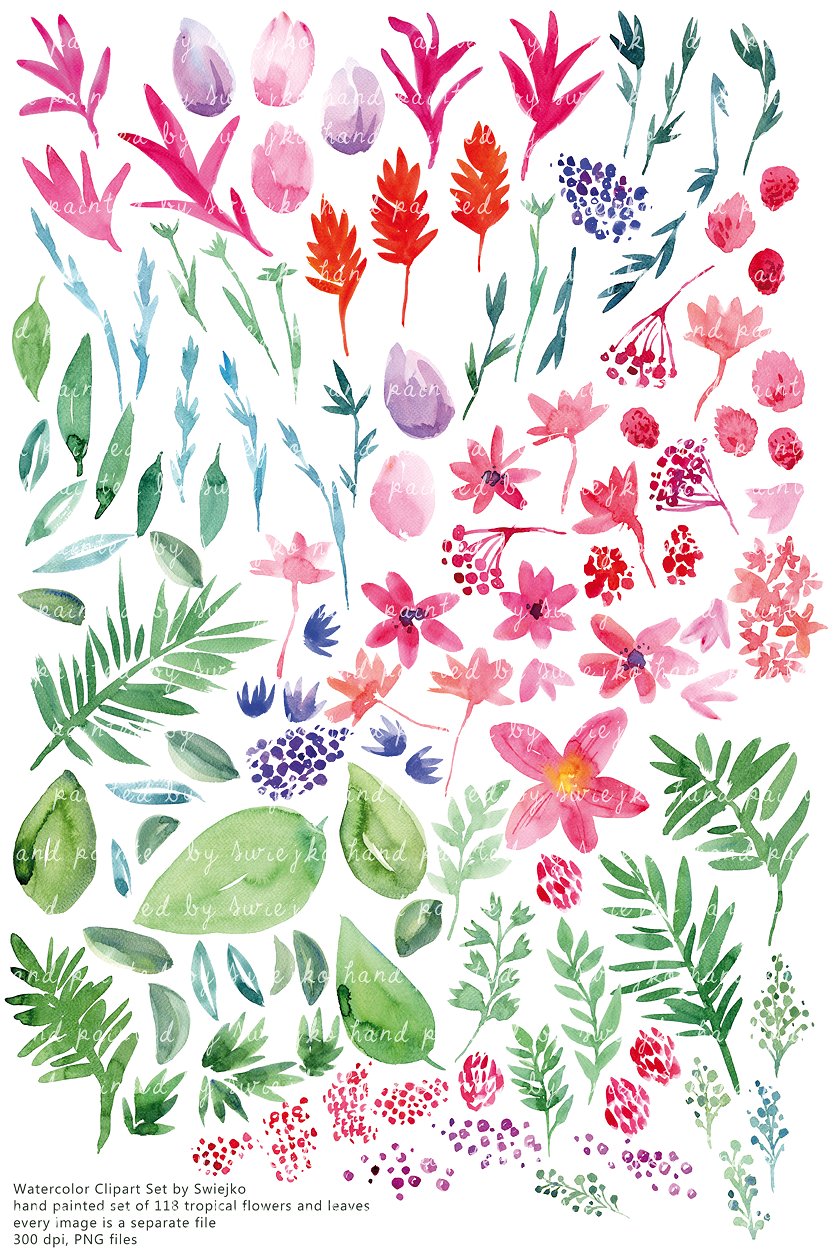 Tropical Flowers clipart