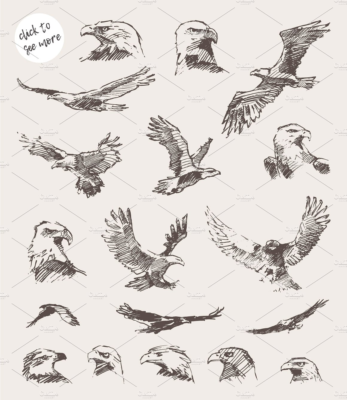 Collection of hand drawn eagle