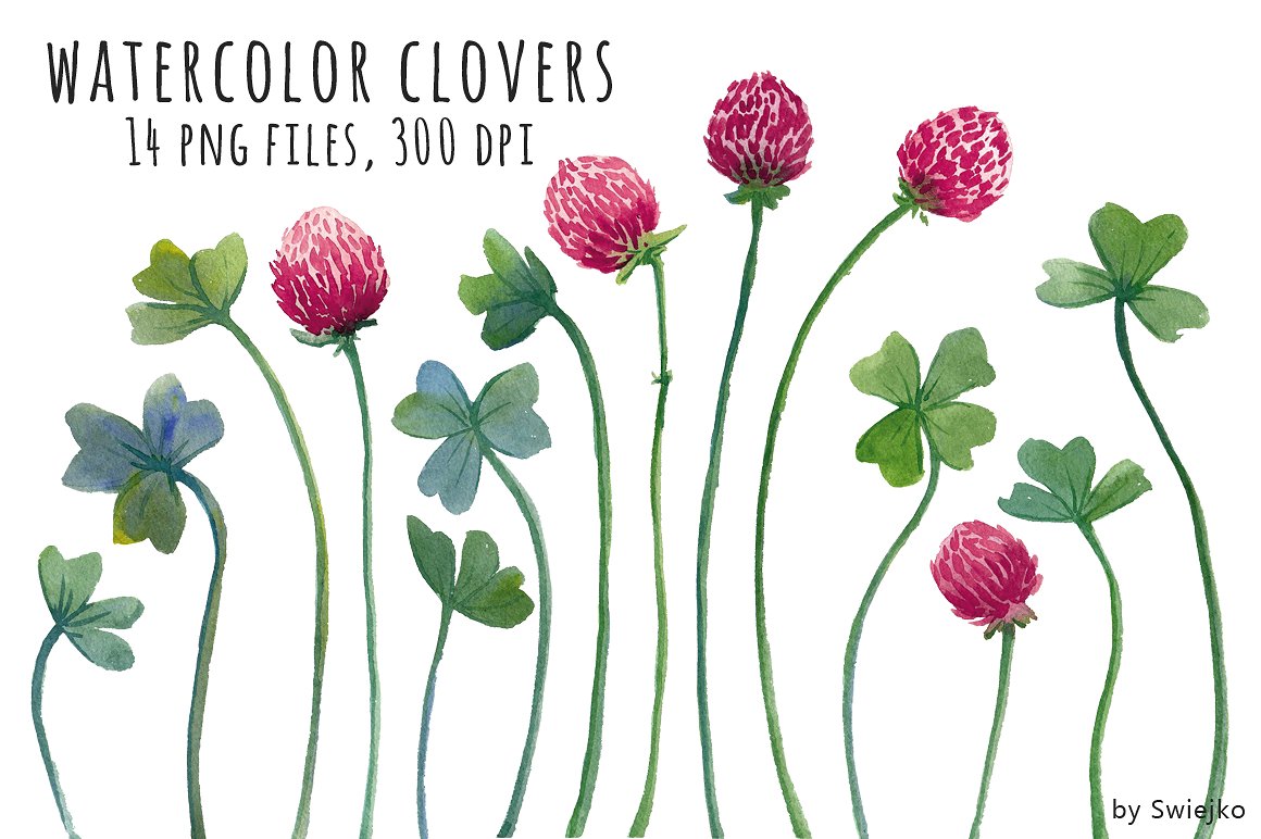 Watercolor Clipart, Clover