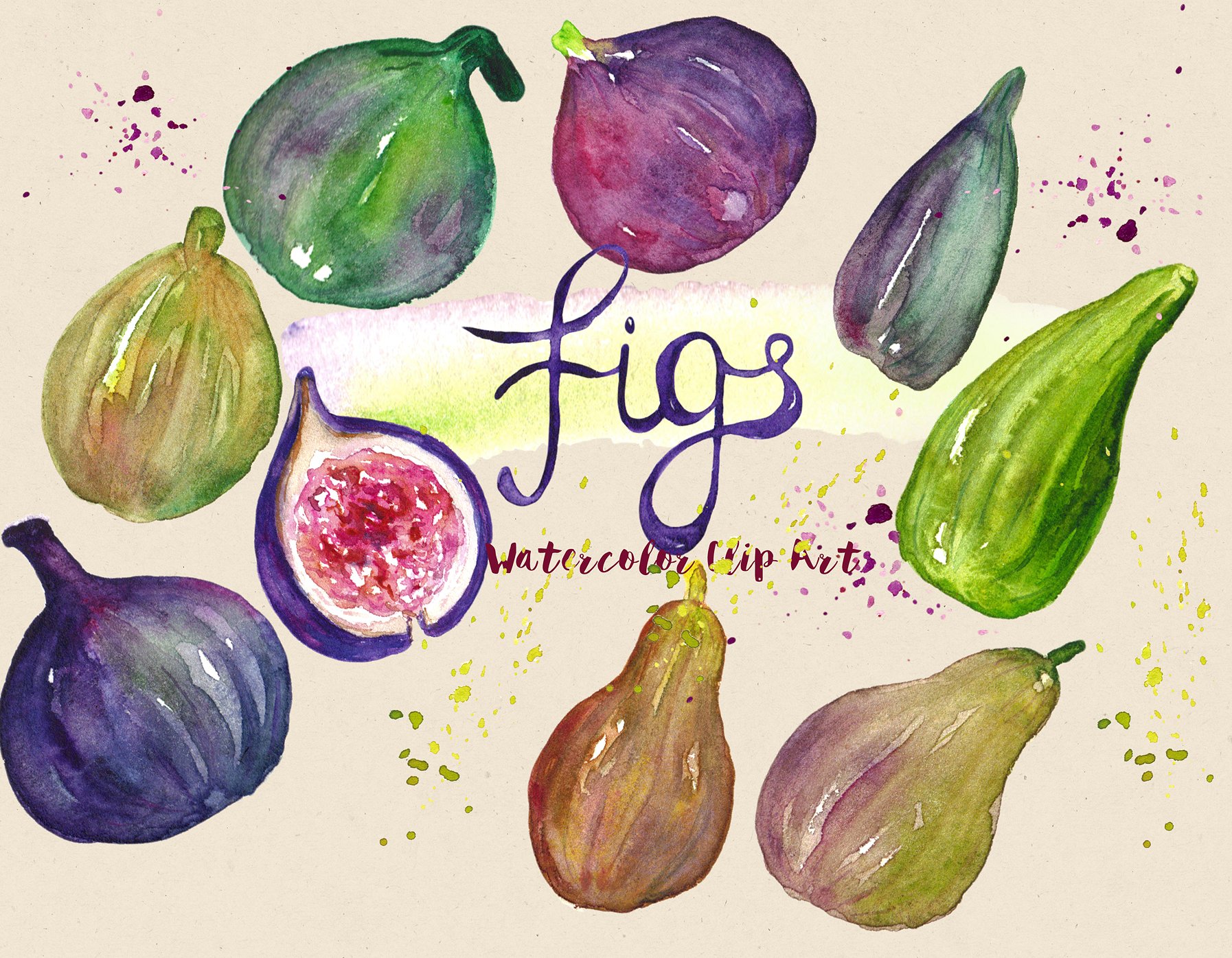 Figs fruits. Watercolor Clipar