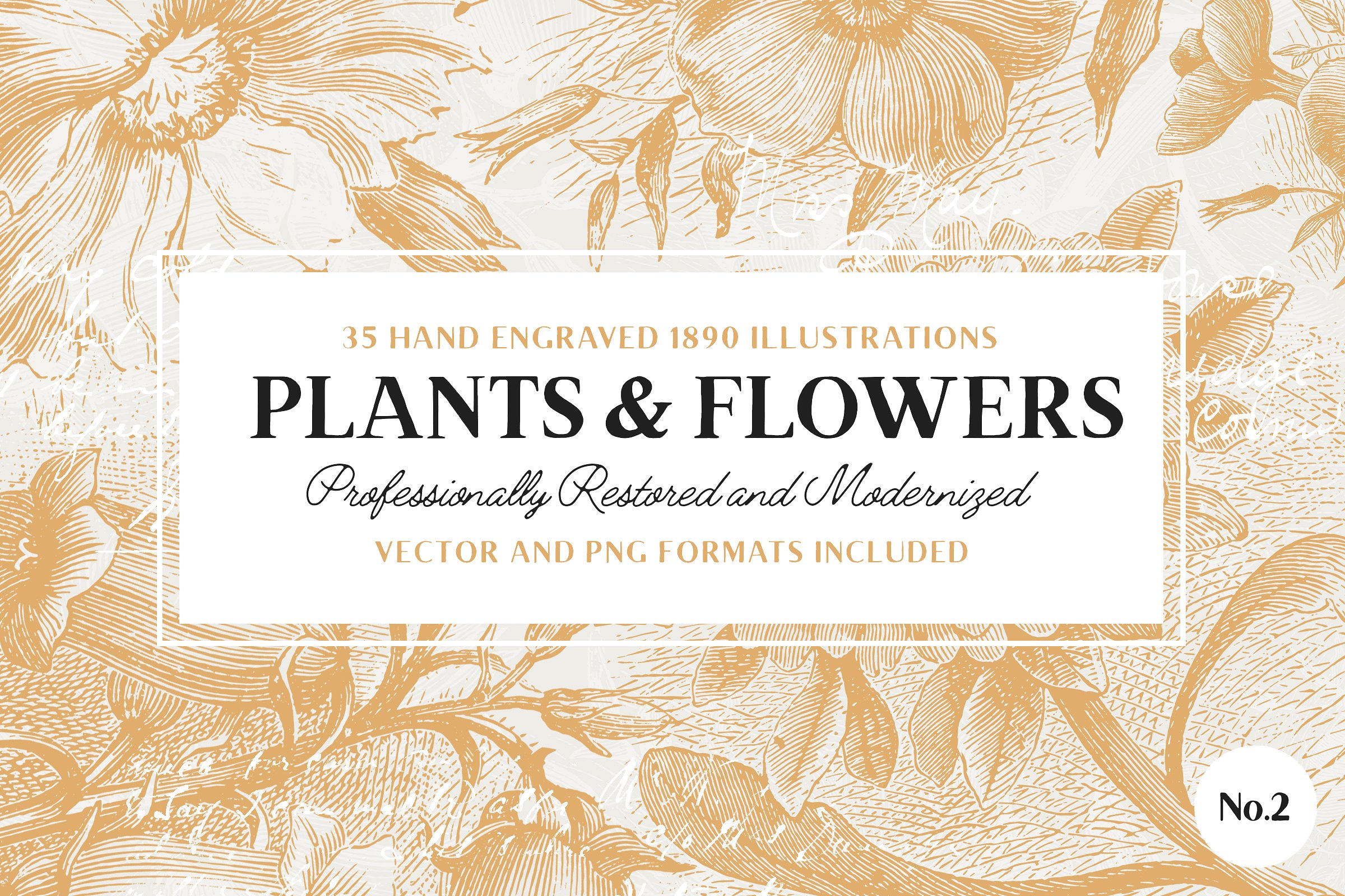 35 Plant & Flower Illustra