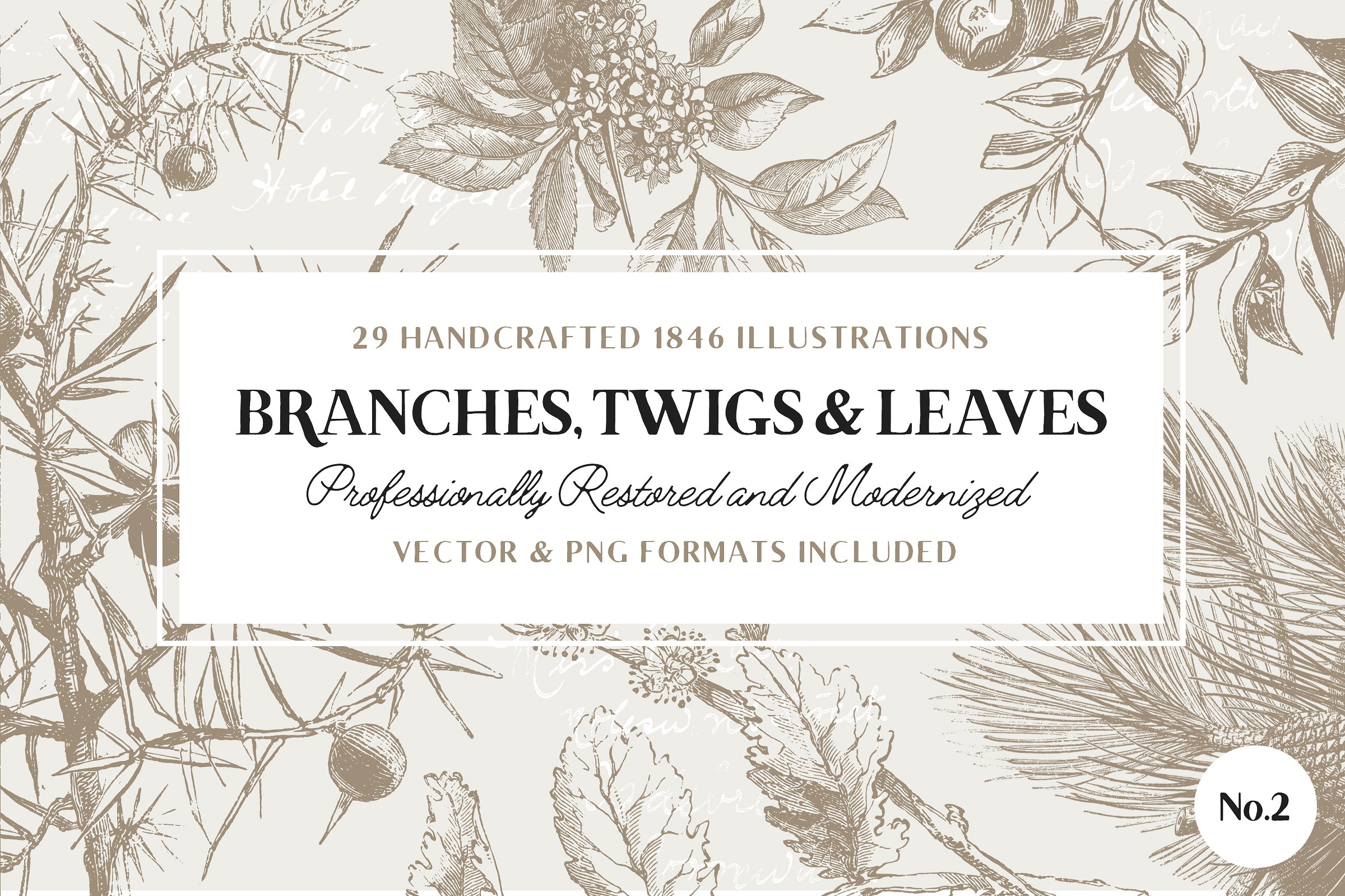 29 Branches, Twigs, -amp; Leav