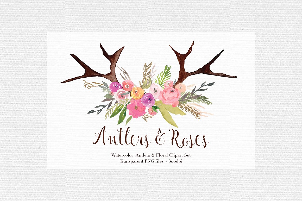 Antlers -amp; Roses Watercolor