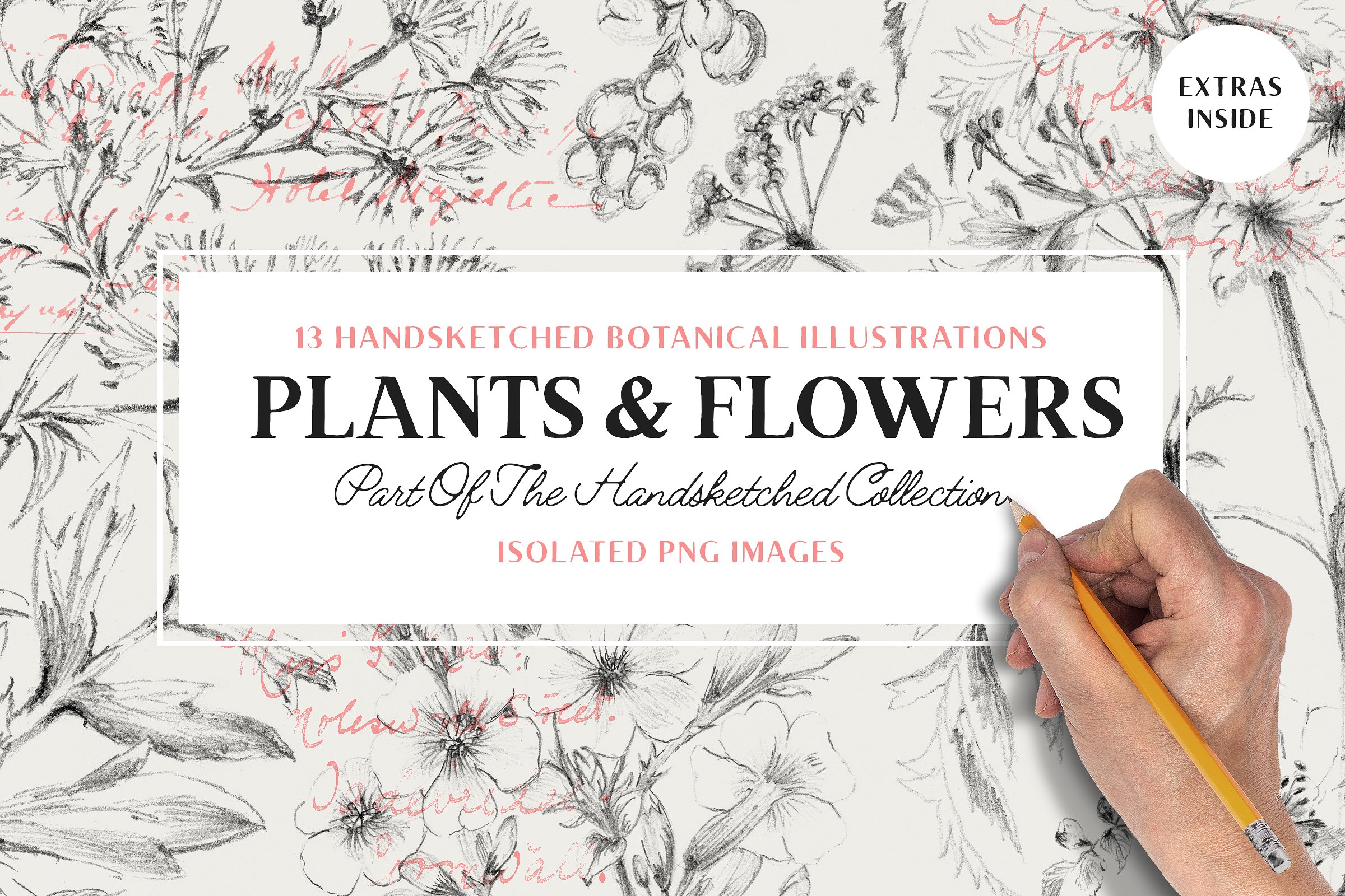 13 Botanical Illustrations -am