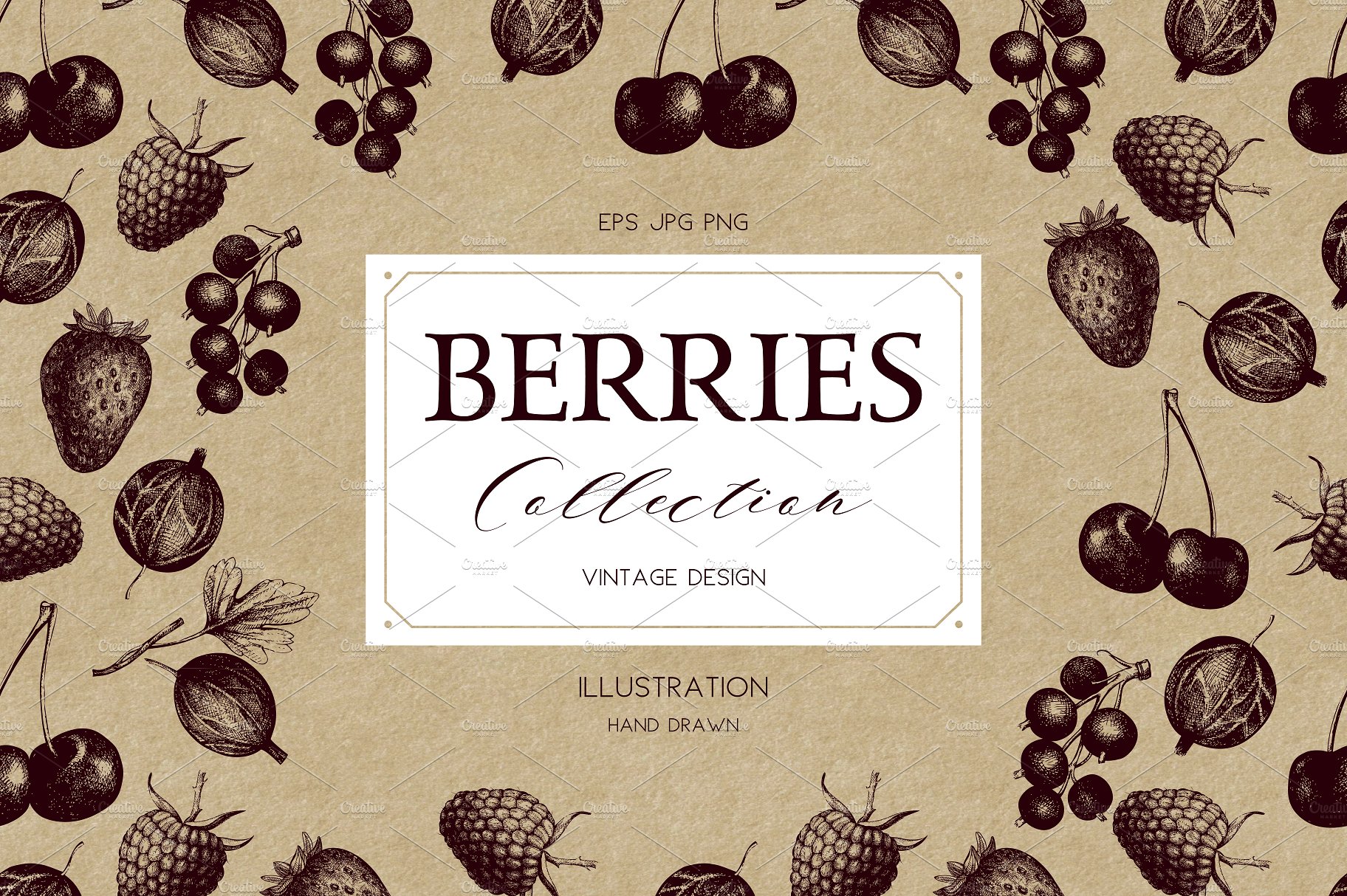 Vector Berries Illustrations S