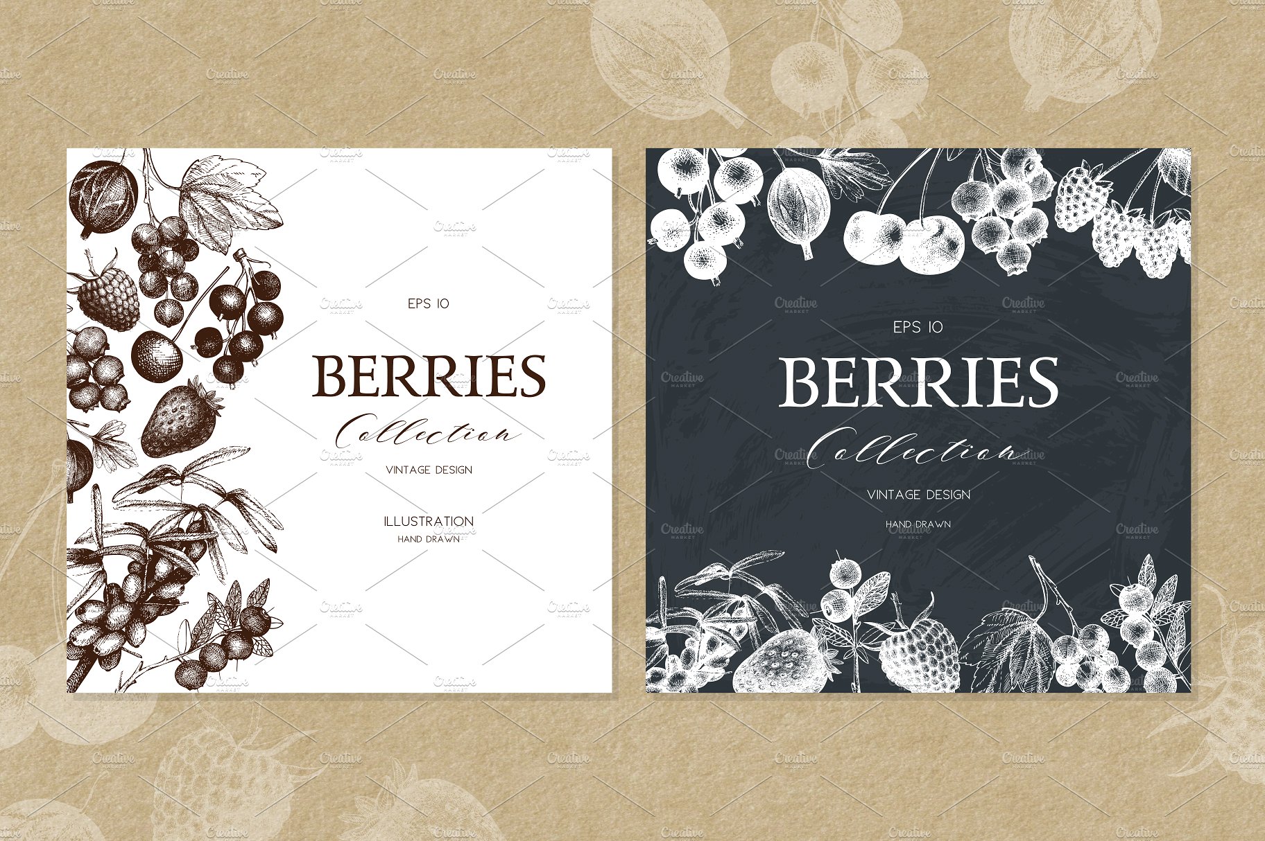 Vector Berries Illustrations S