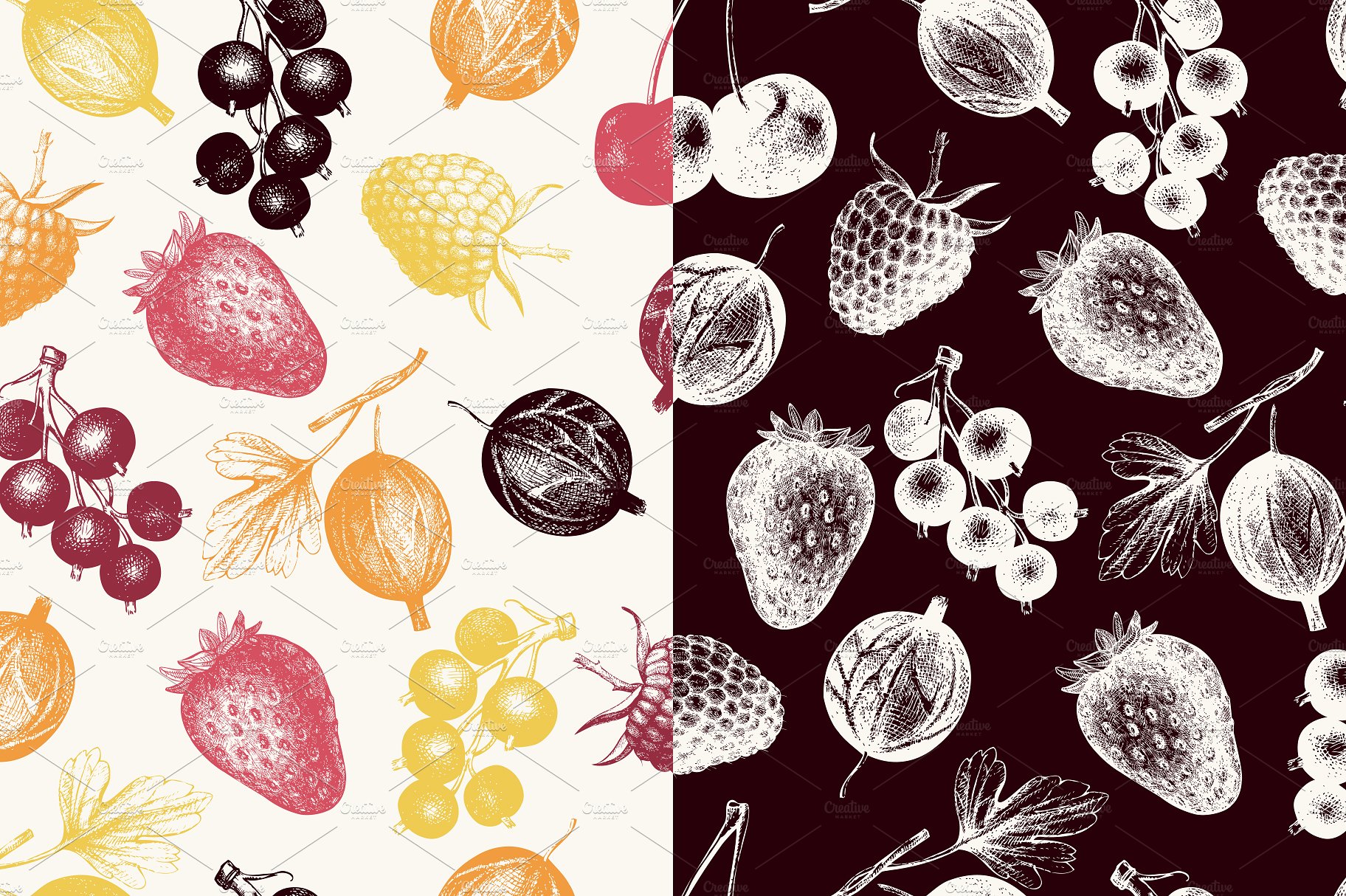 Vector Berries Illustrations S