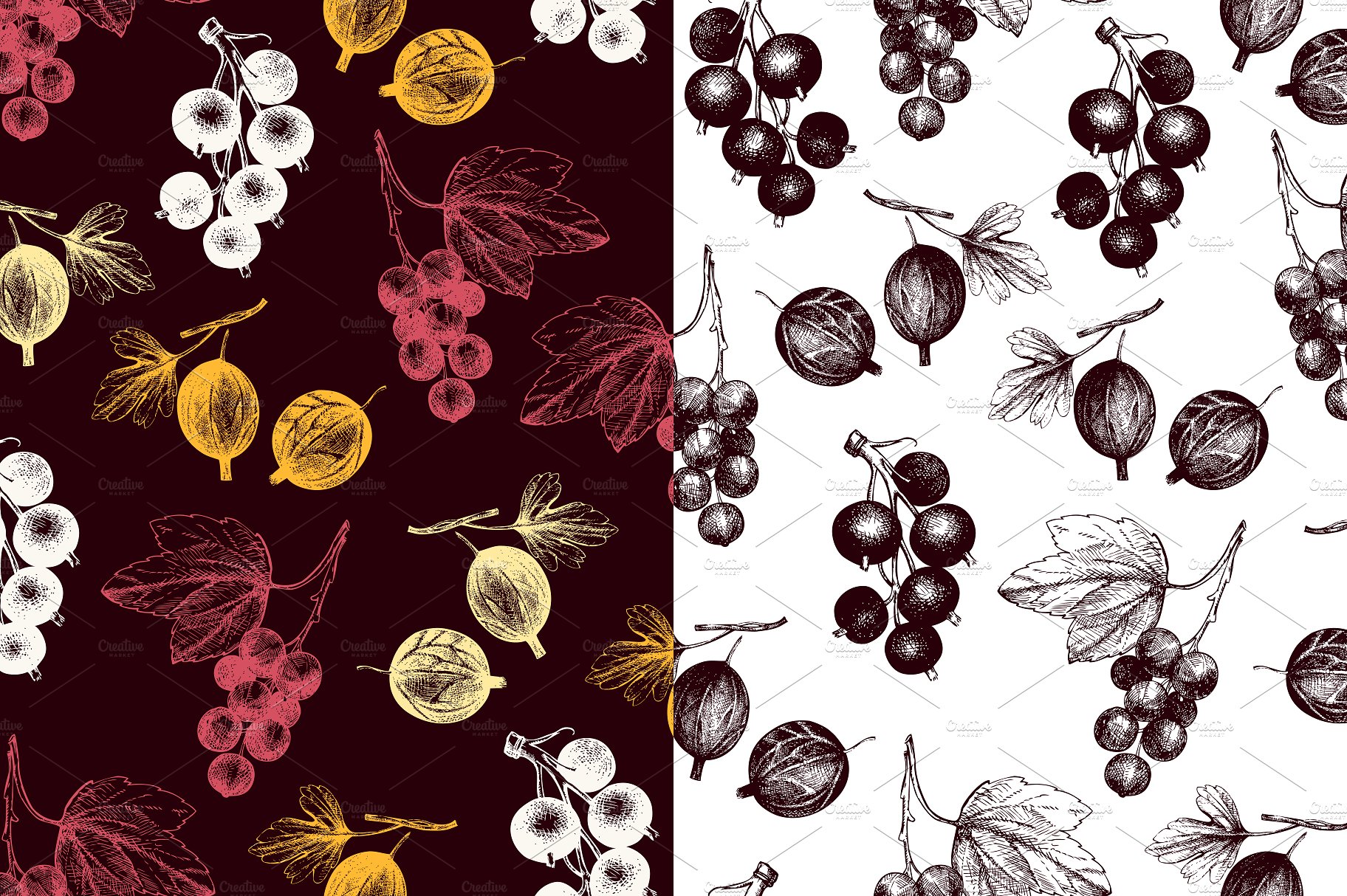 Vector Berries Illustrations S