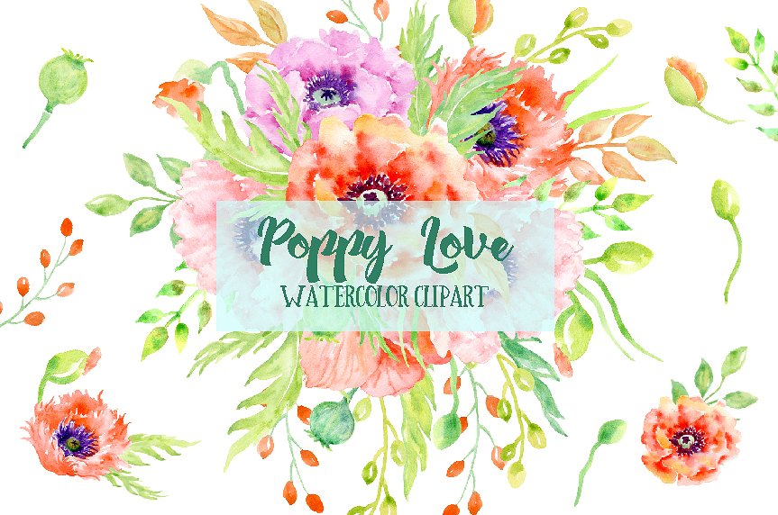 Watercolor Poppy Love