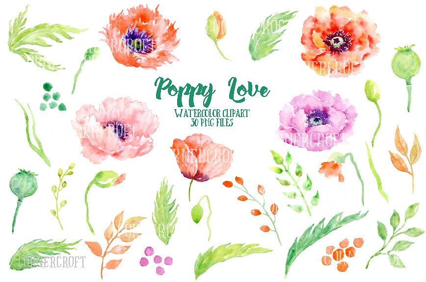 Watercolor Poppy Love