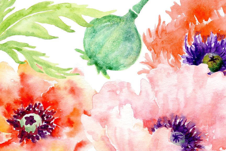 Watercolor Poppy Love