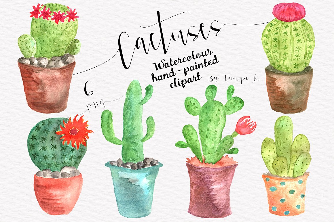 Cactuses Watercolor Collection