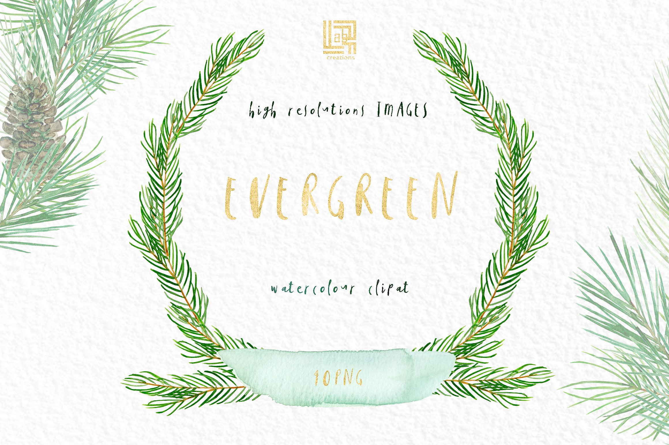 Pine. Watercolor clipart