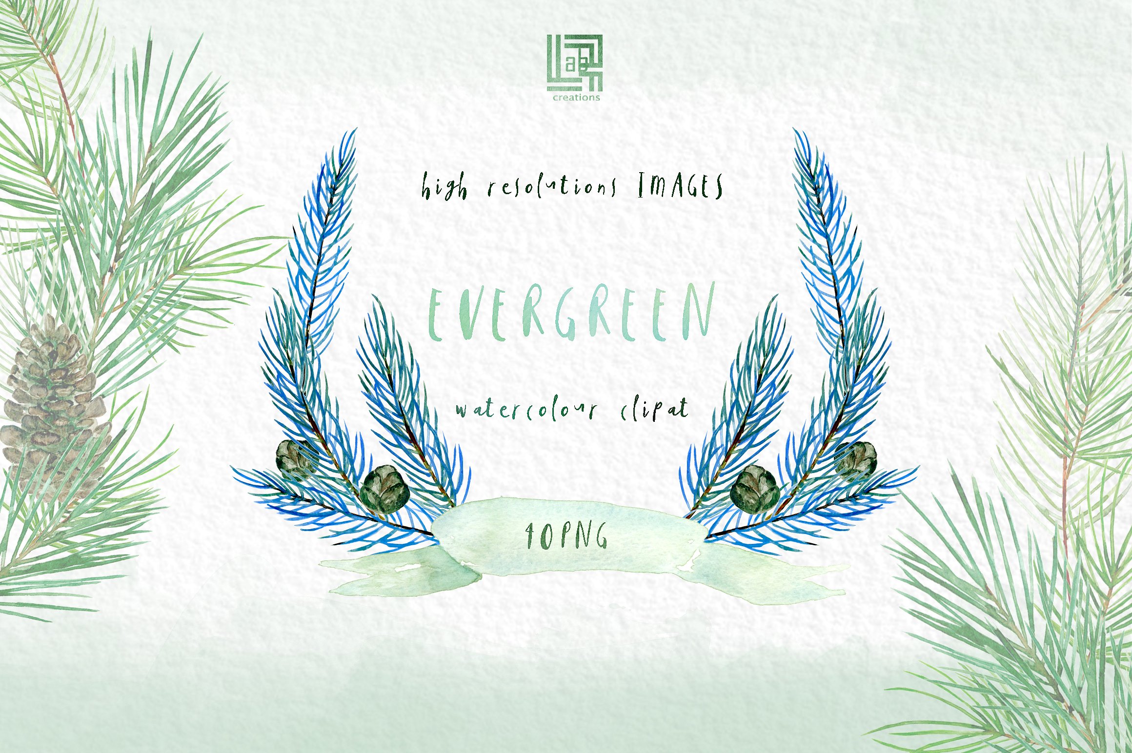 Pine. Watercolor clipart