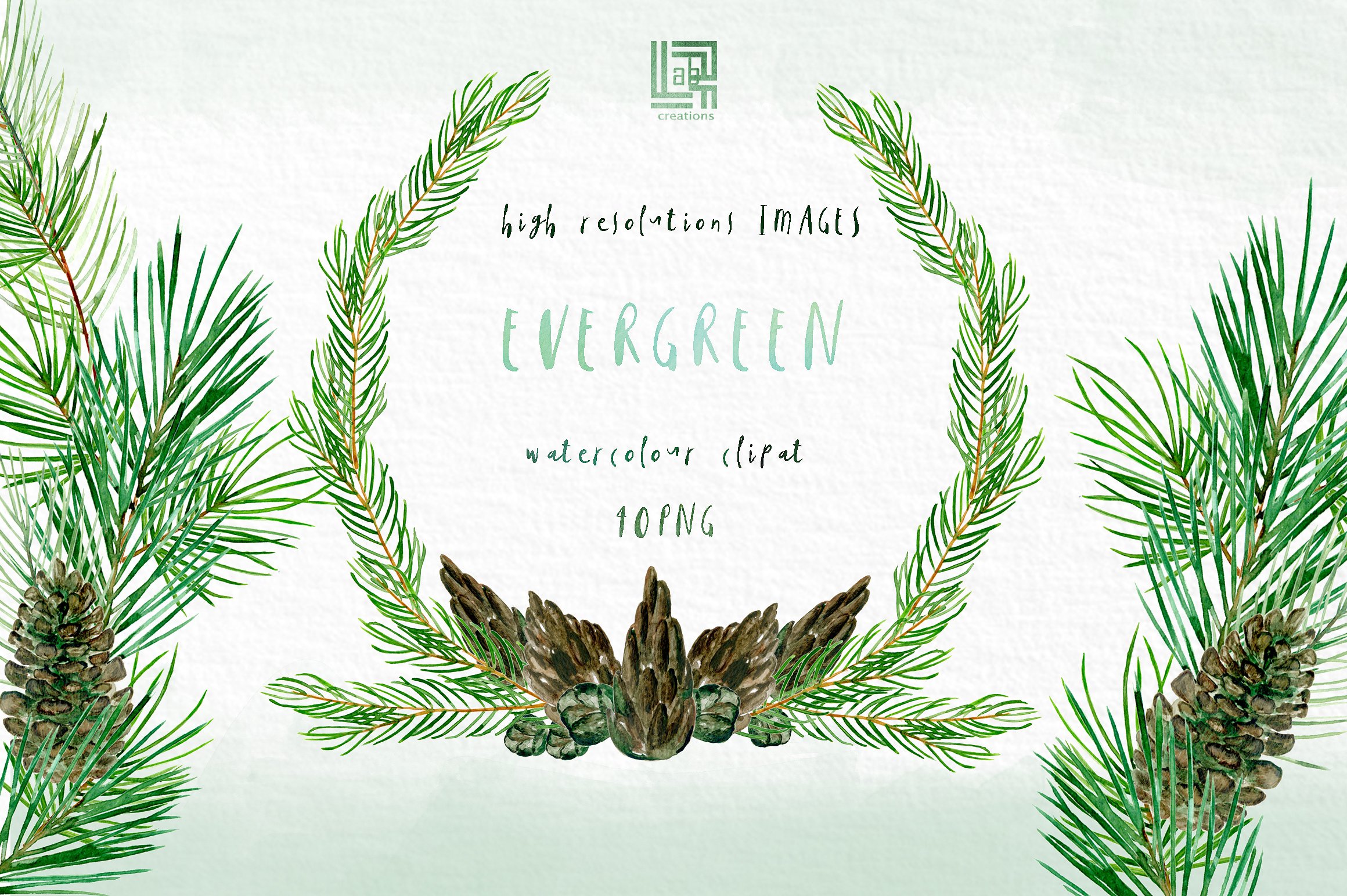 Pine. Watercolor clipart