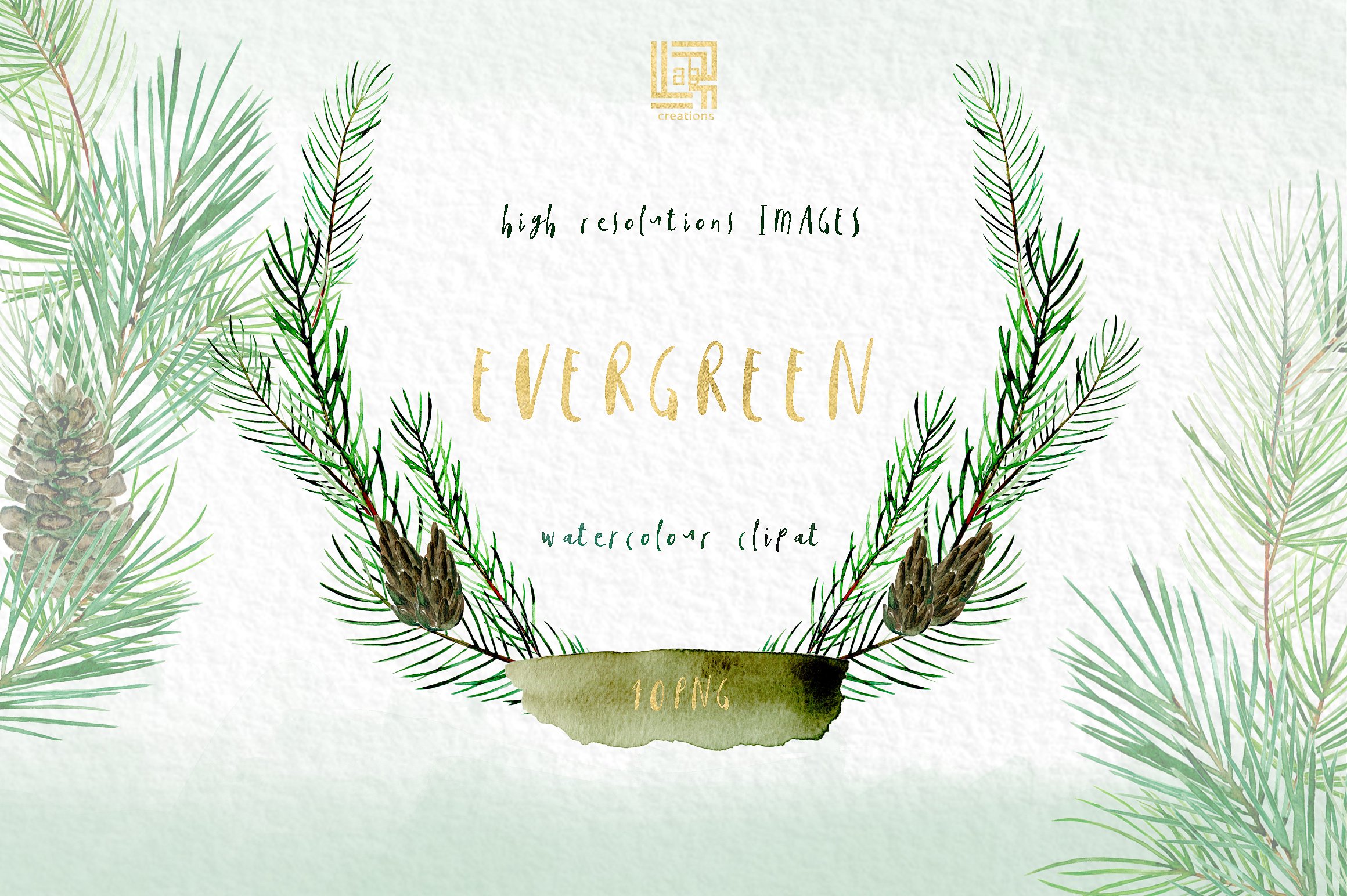 Pine. Watercolor clipart