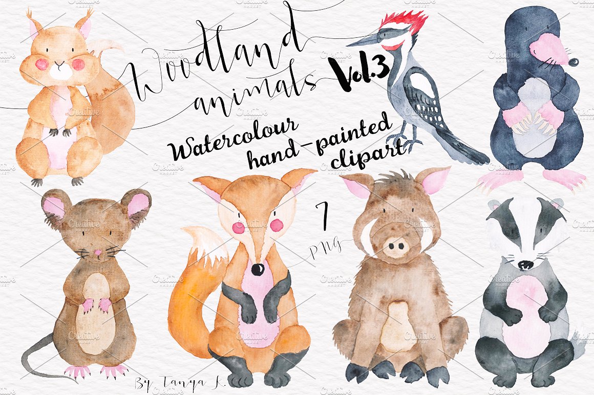 Woodland animals Vol.3 Set