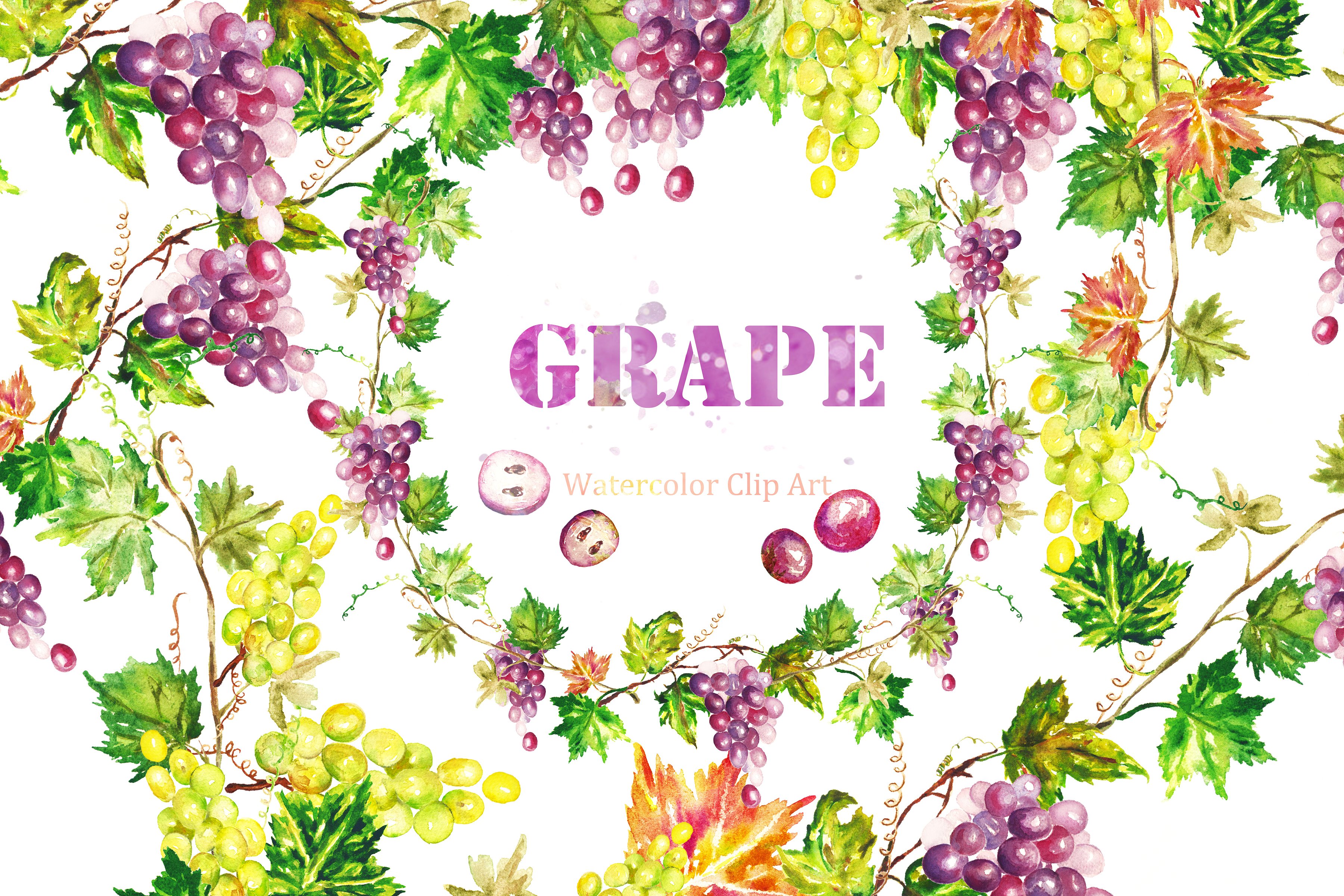 Grapes watercolor Clip art