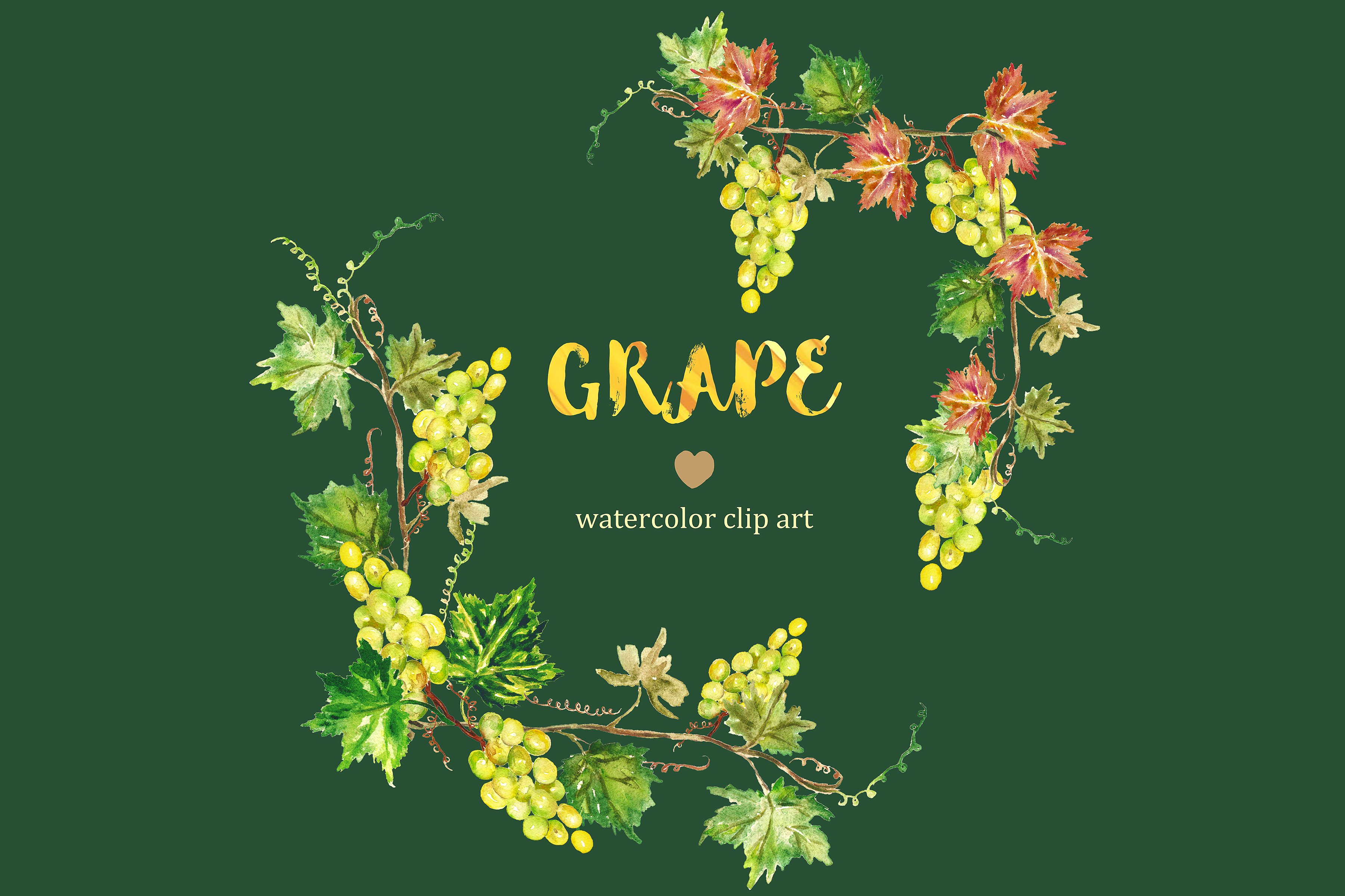 Grapes watercolor Clip art