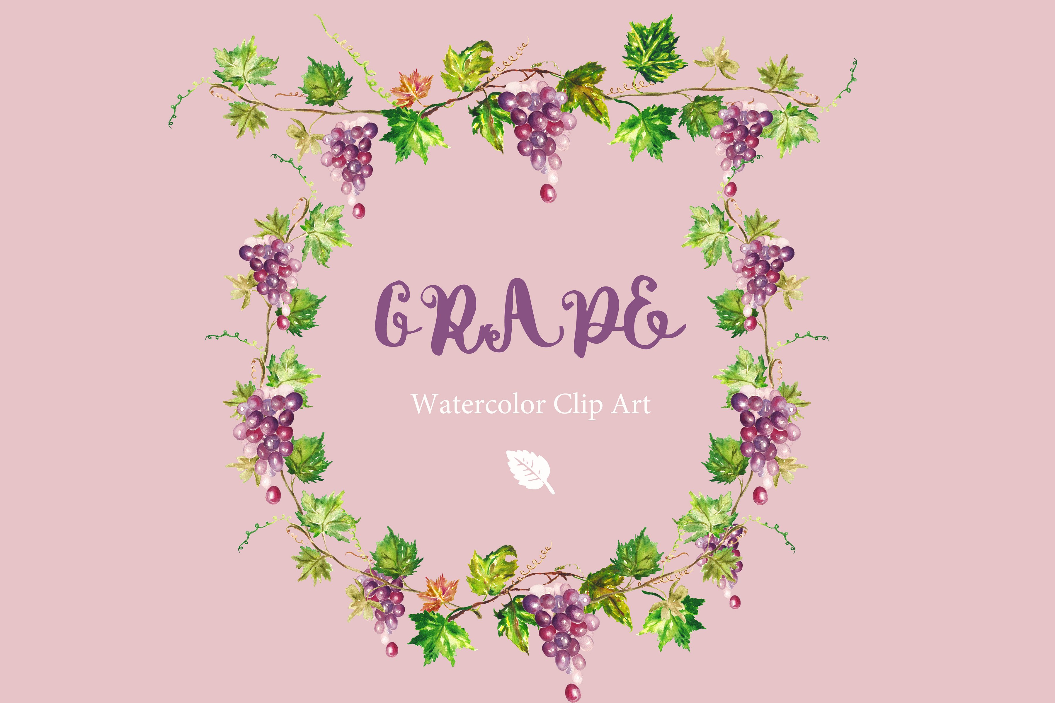 Grapes watercolor Clip art