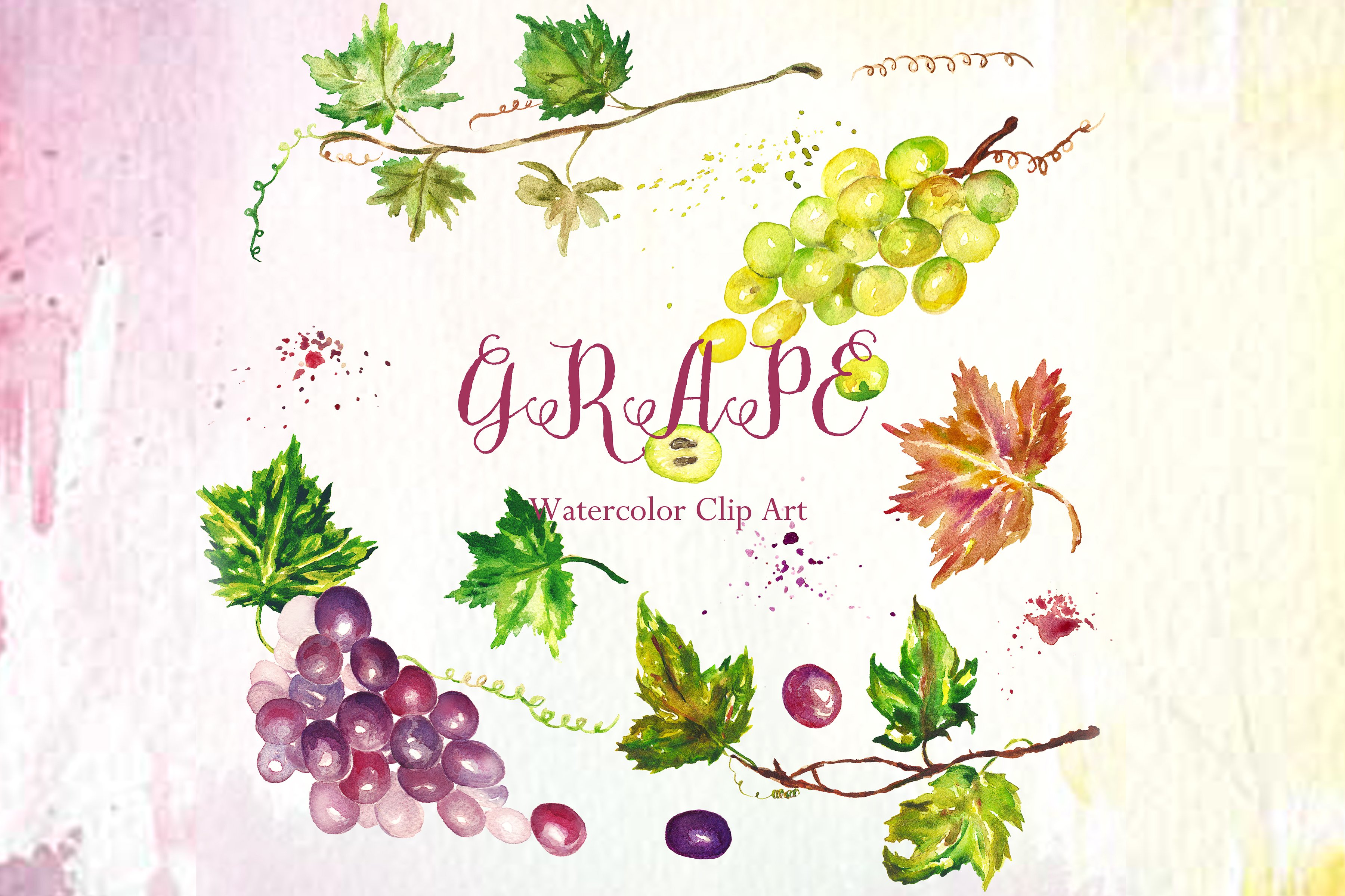 Grapes watercolor Clip art