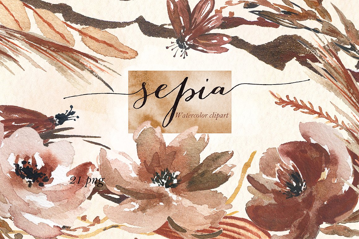 Sepia flowers. Watercolor clip