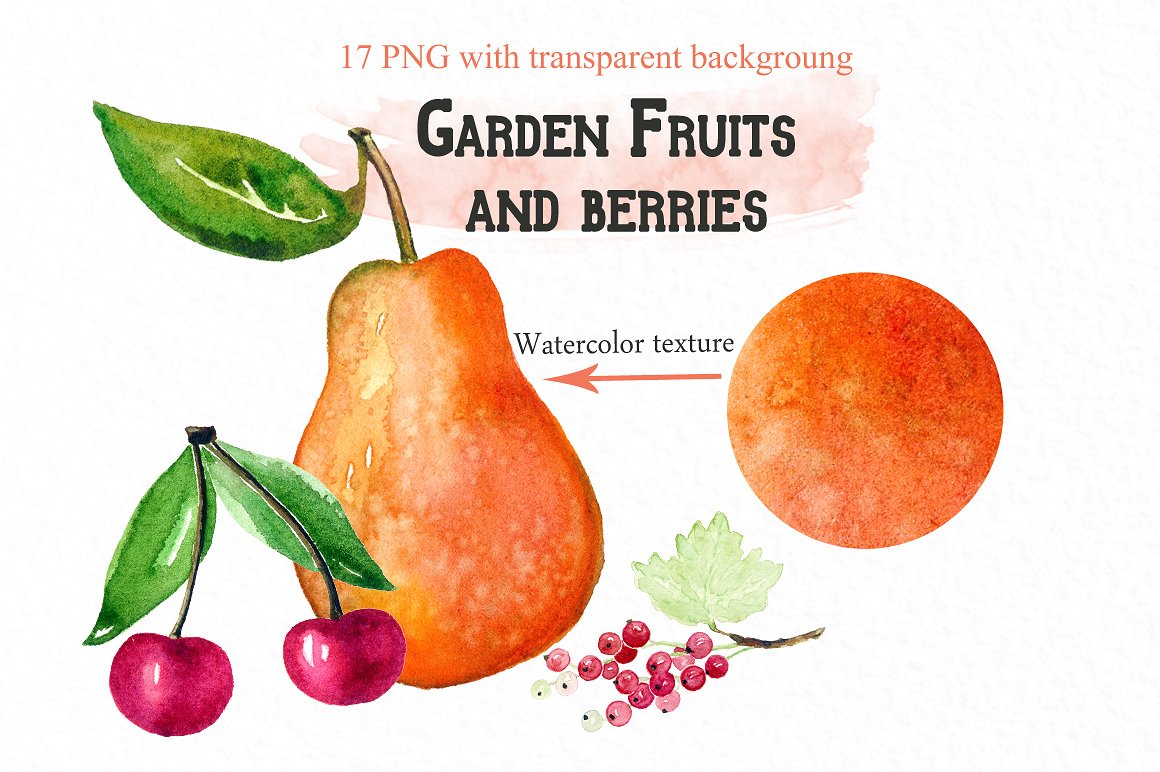 Fruits & berries watercolo