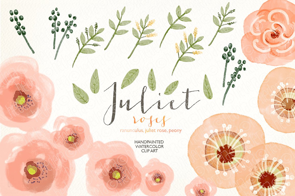 Watercolor coral olive floral