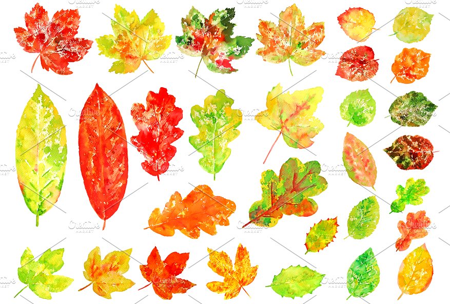 Watercolor Colorful Leaves Cli