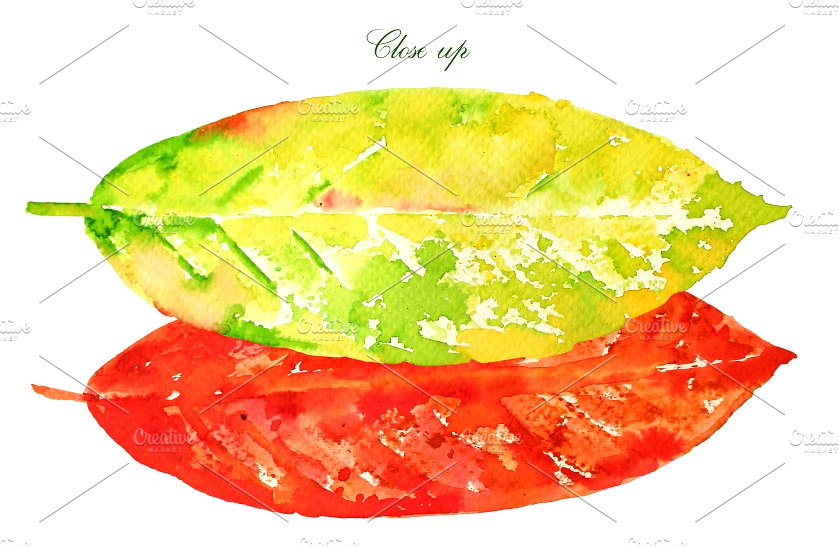 Watercolor Colorful Leaves Cli