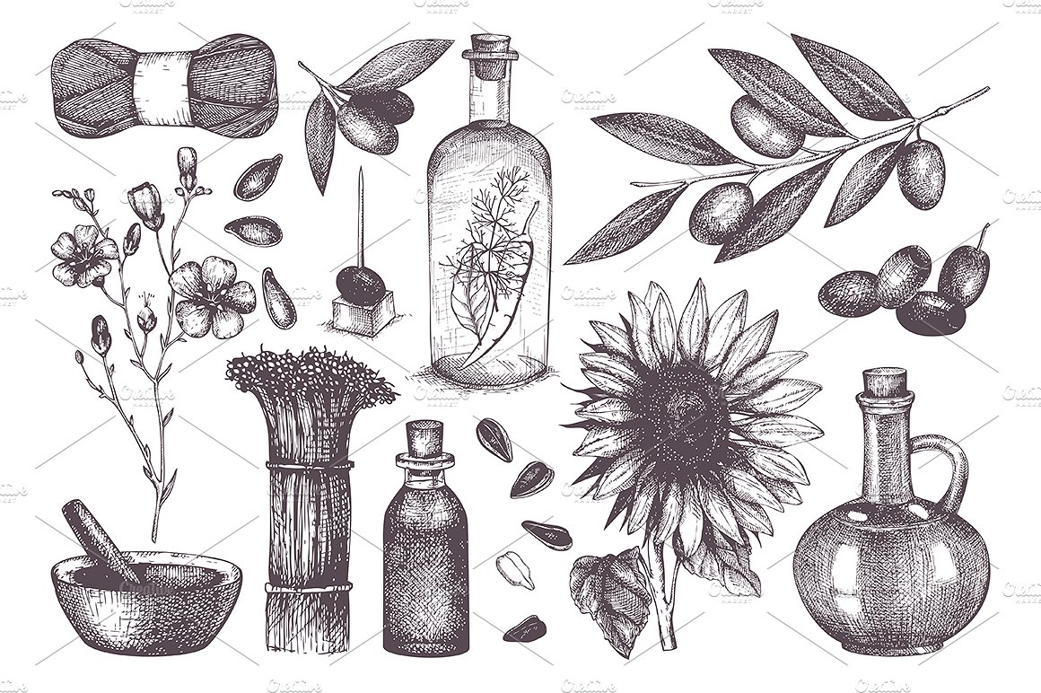 Seed Oil Design Collection