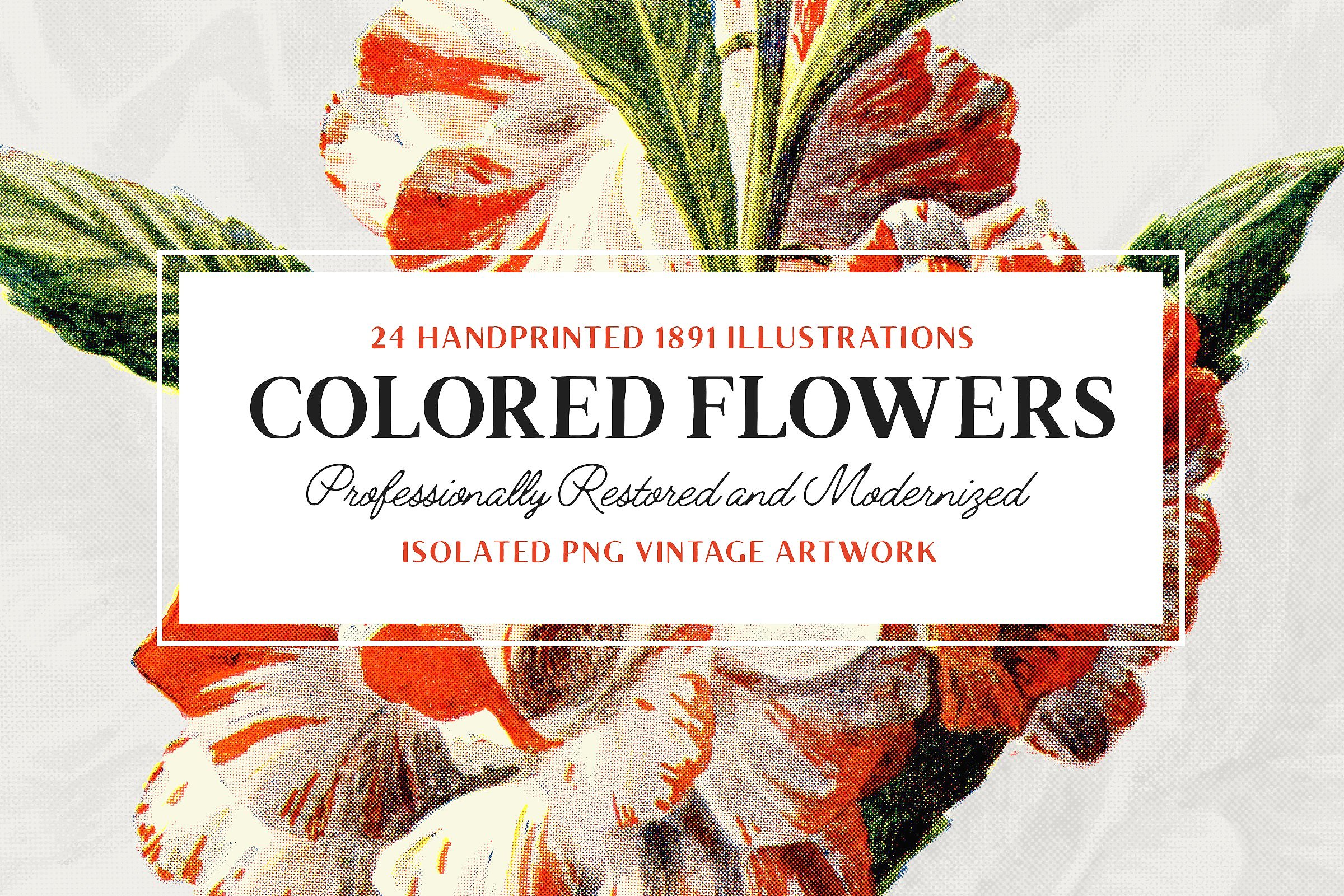 24 Colored Flower Illustration