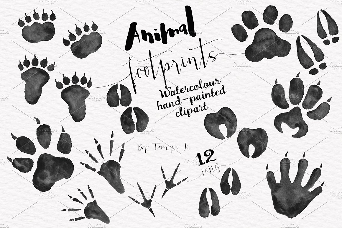 Woodland Animals Foot Prints S