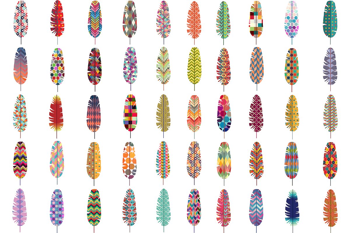 50 Feathers w/ Patterns Vector