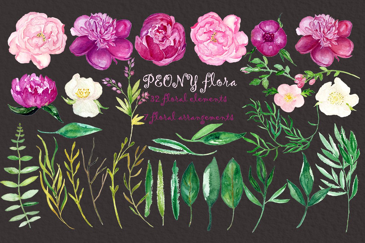 Peony flora watercolor flowers