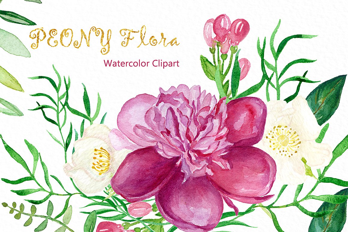 Peony flora watercolor flowers