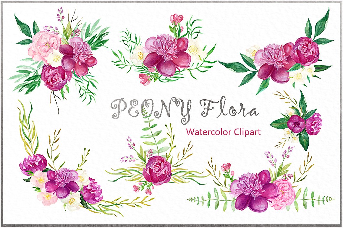 Peony flora watercolor flowers