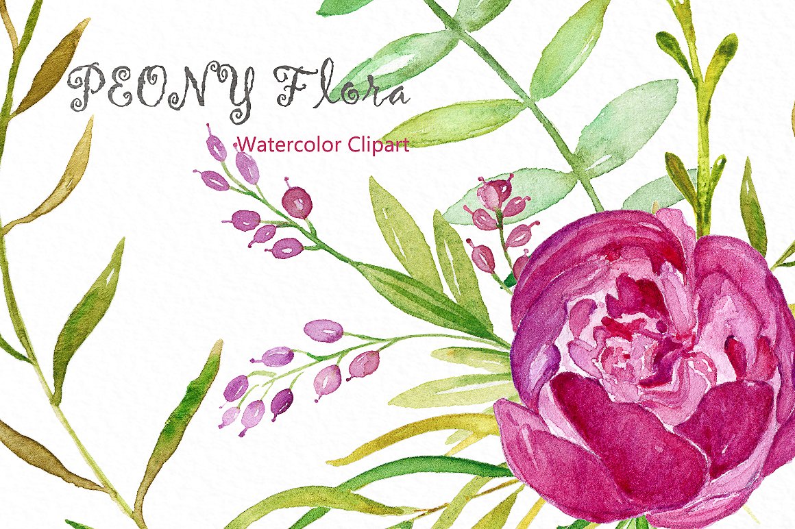 Peony flora watercolor flowers