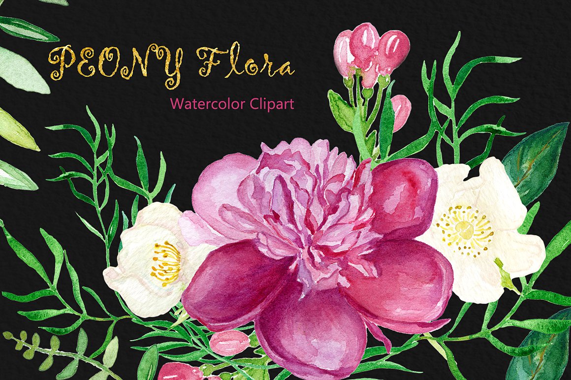 Peony flora watercolor flowers