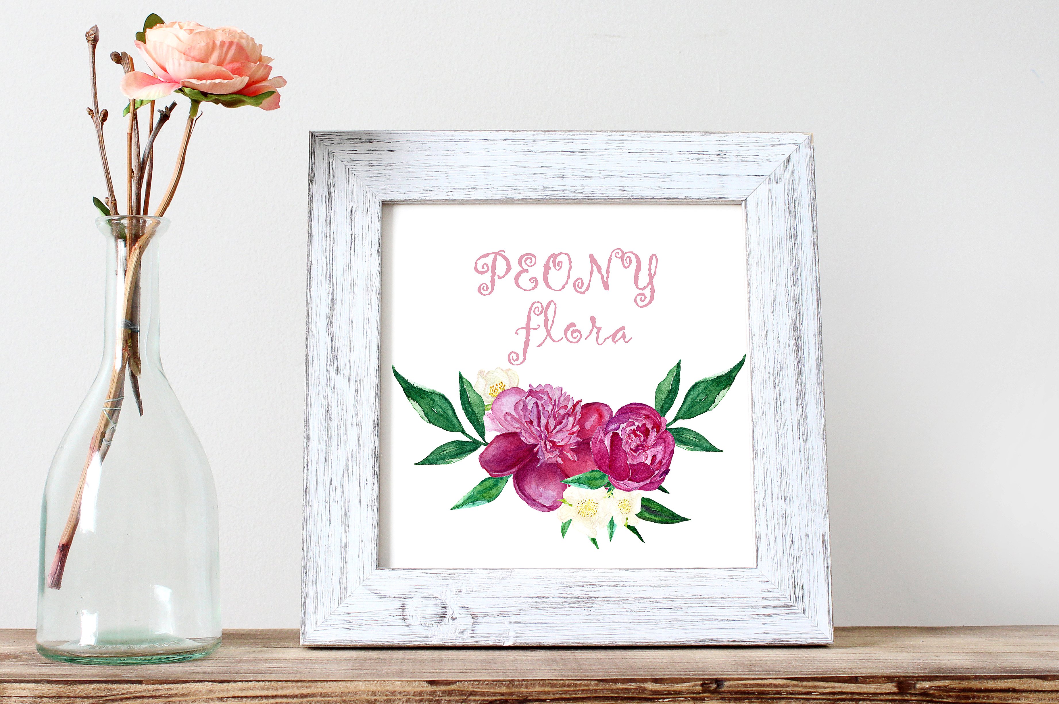 Peony flora watercolor flowers