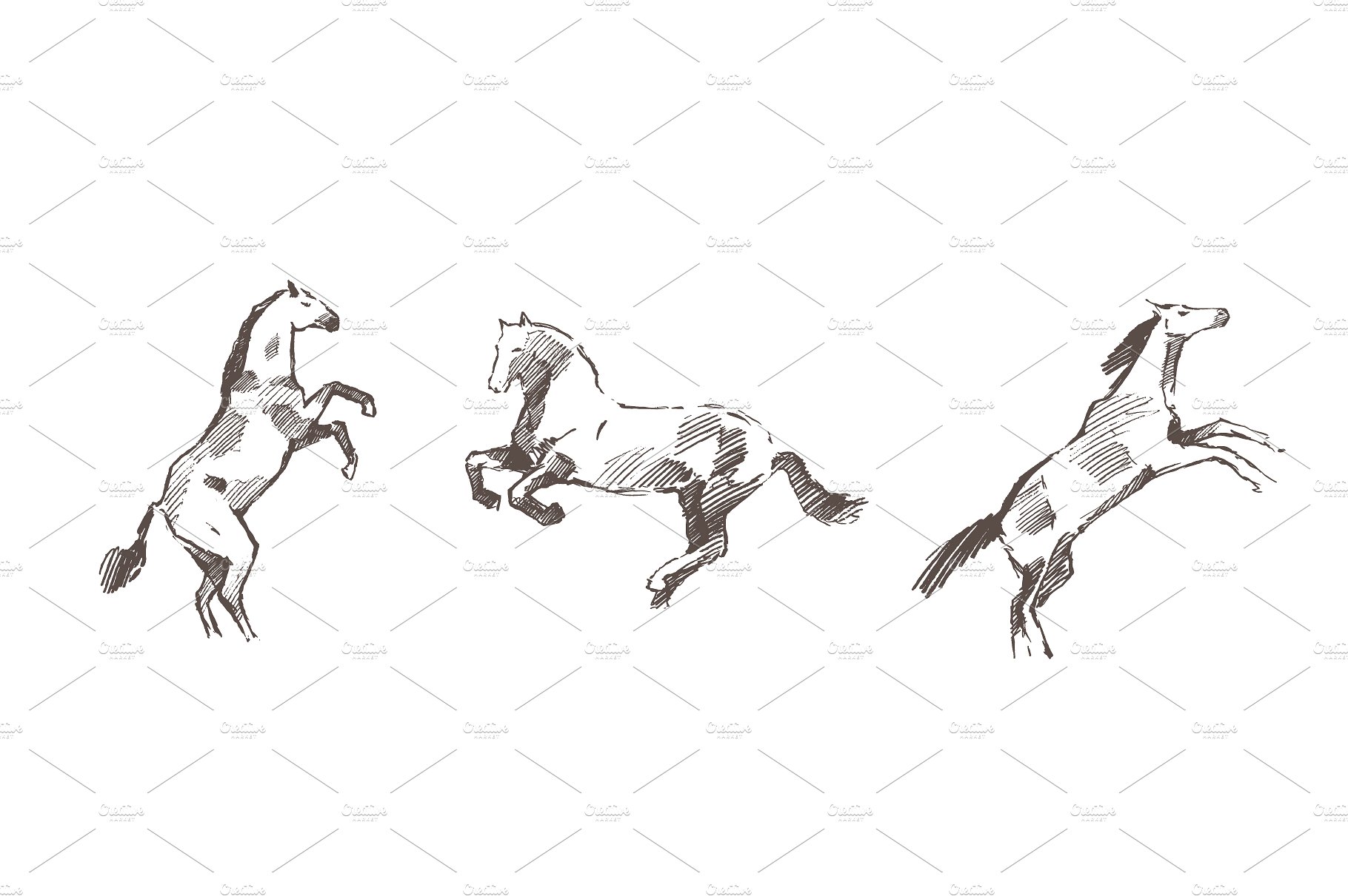 Set of hand drawn horses