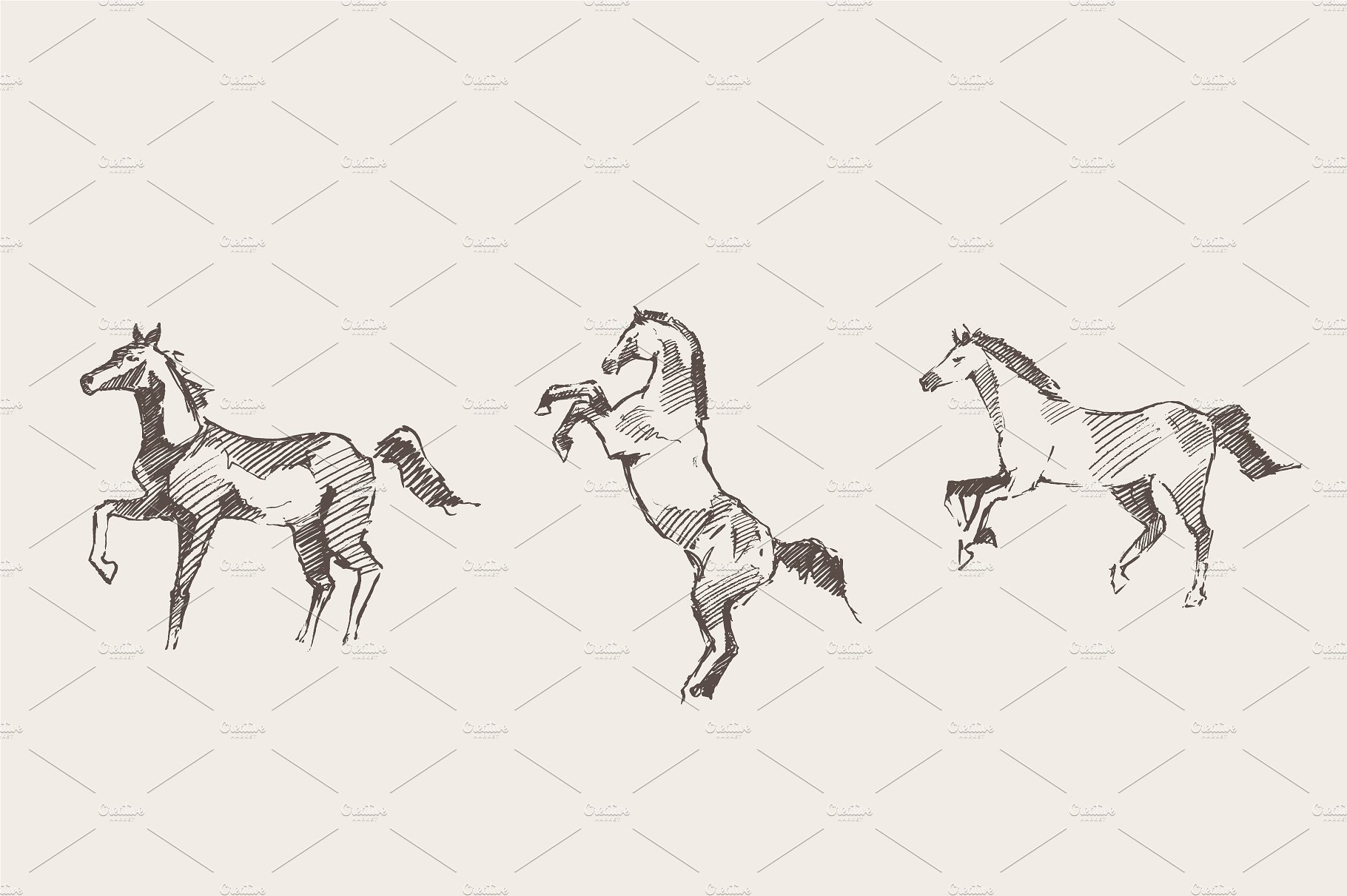 Set of hand drawn horses