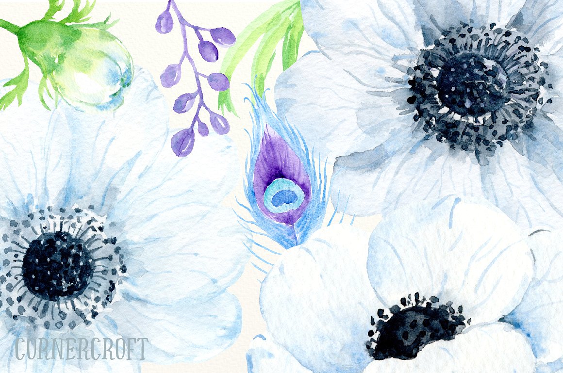 Watercolor Enchanting Anemone