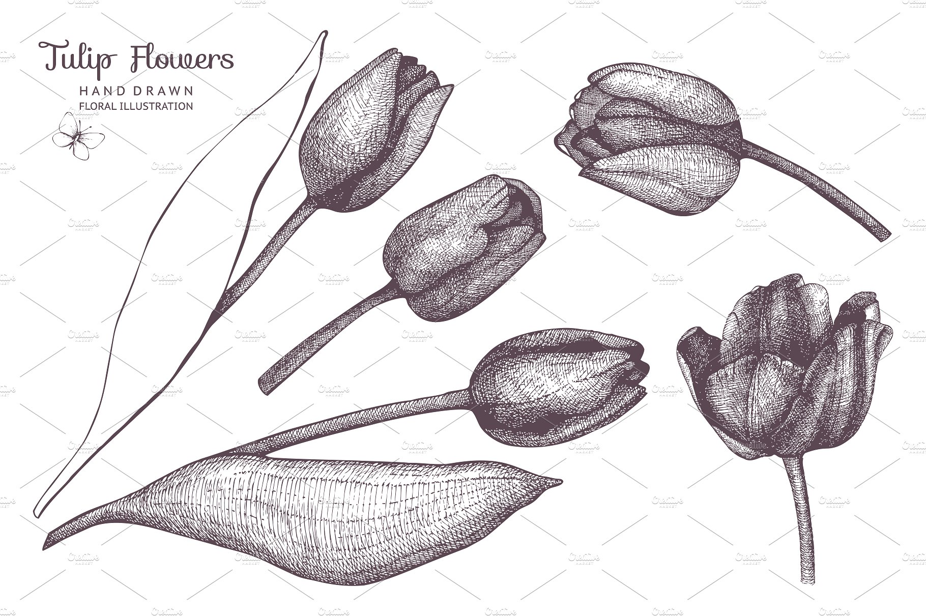 Vector Flowers Collection